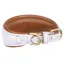 Shires Digby and Fox Padded Greyhound Collar - Lilac